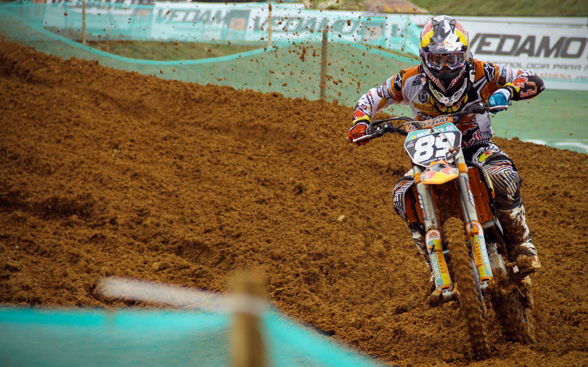 跨界风暴，美加墨世界杯焦点战与凯尔特人血拼深圳队的双重狂想